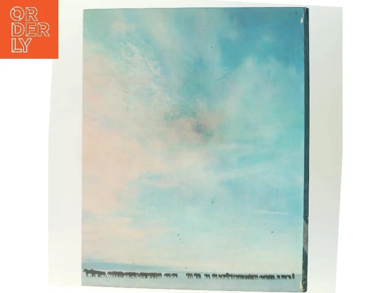 Billede 3 - Hestar af <Bogens forfattere< (Bog)