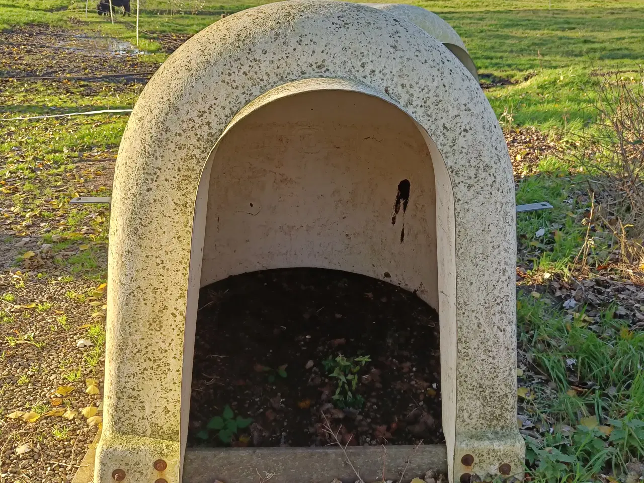 Billede 1 - 2 kalve-igloer