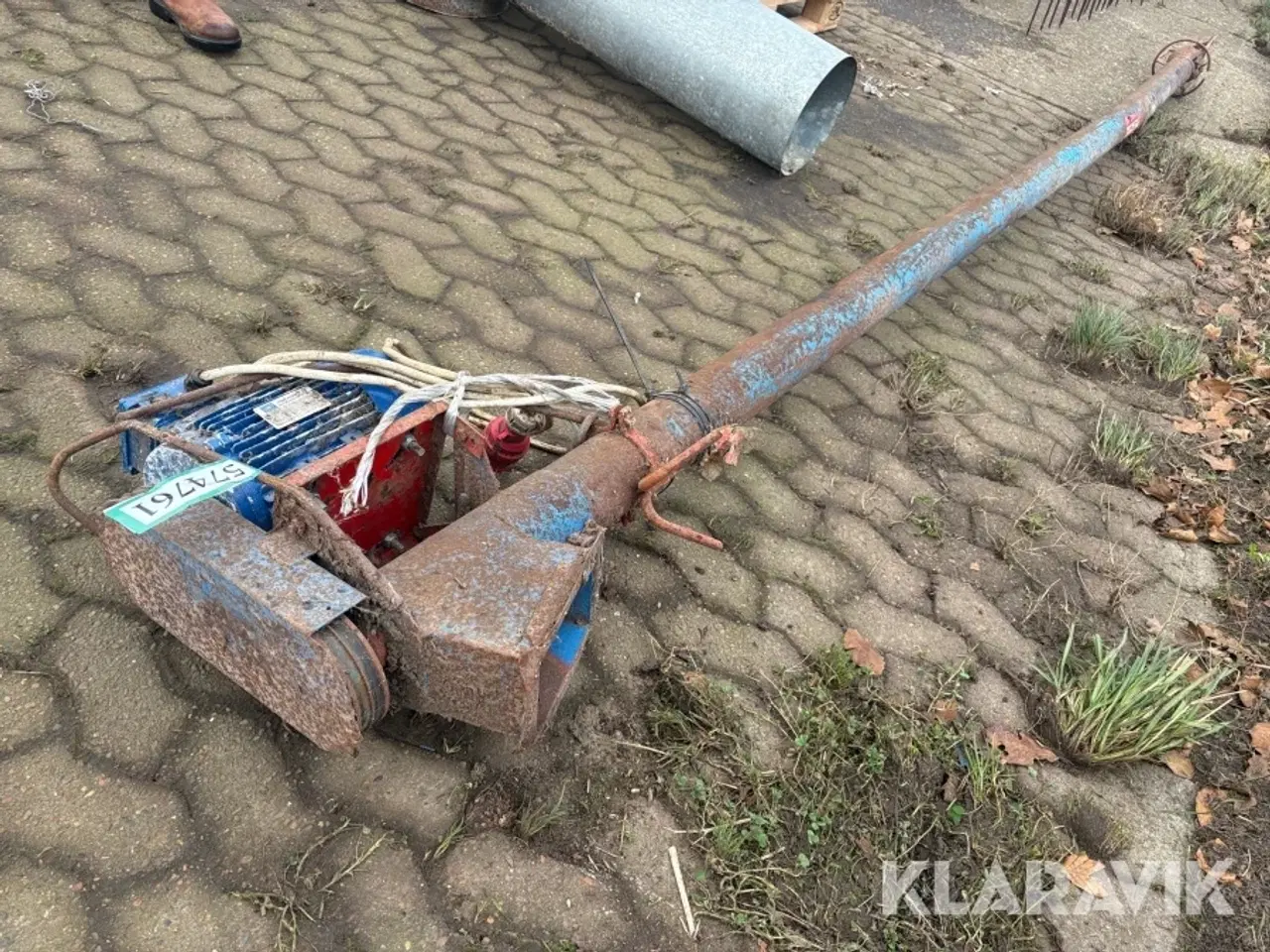 Billede 1 - Kornsnegl