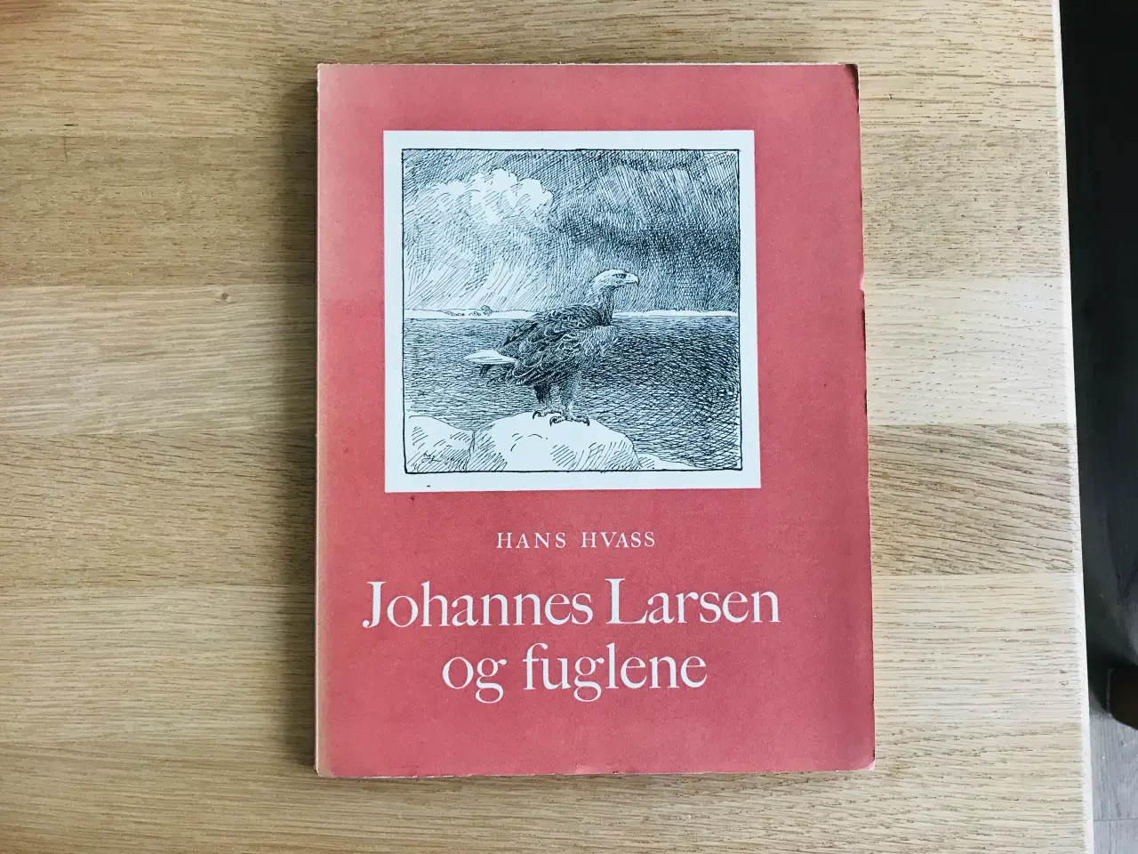 Billede 1 - Johannes Larsen og fuglene  -  Hans Hvass