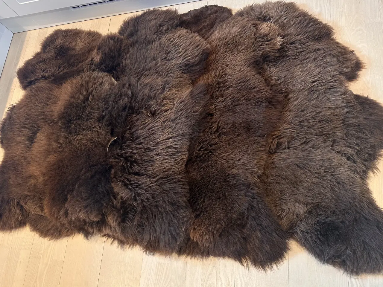 Billede 2 - 4 helt nye lammeskind