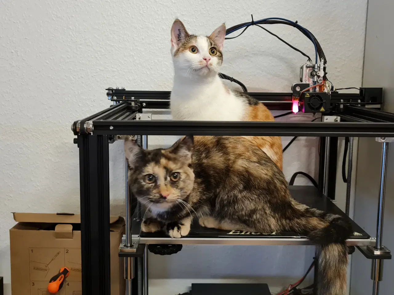 Billede 4 - 3D Printer - Ender 5 Plus
