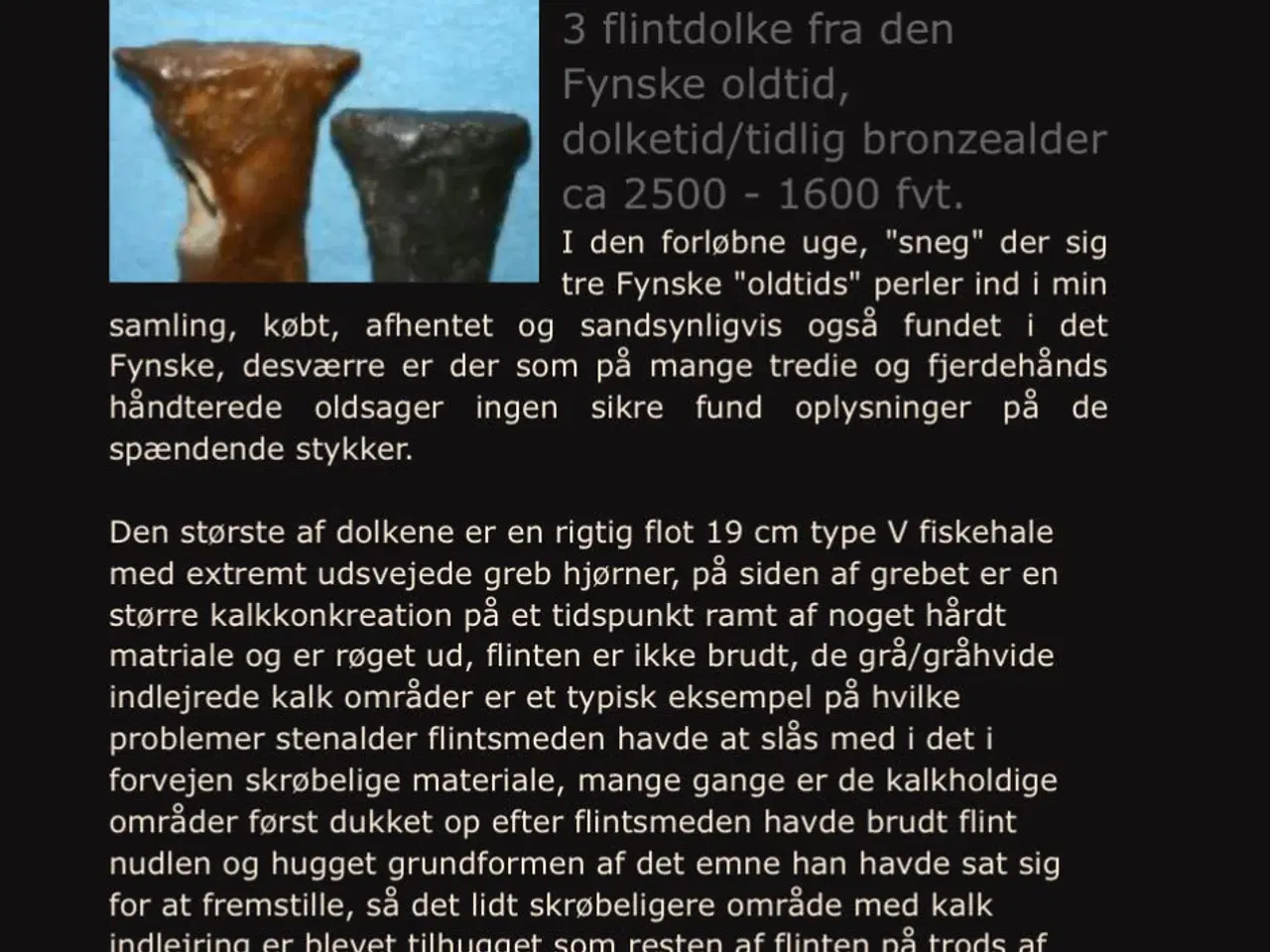 Billede 6 - Fiskehaledolk fra stenalderen