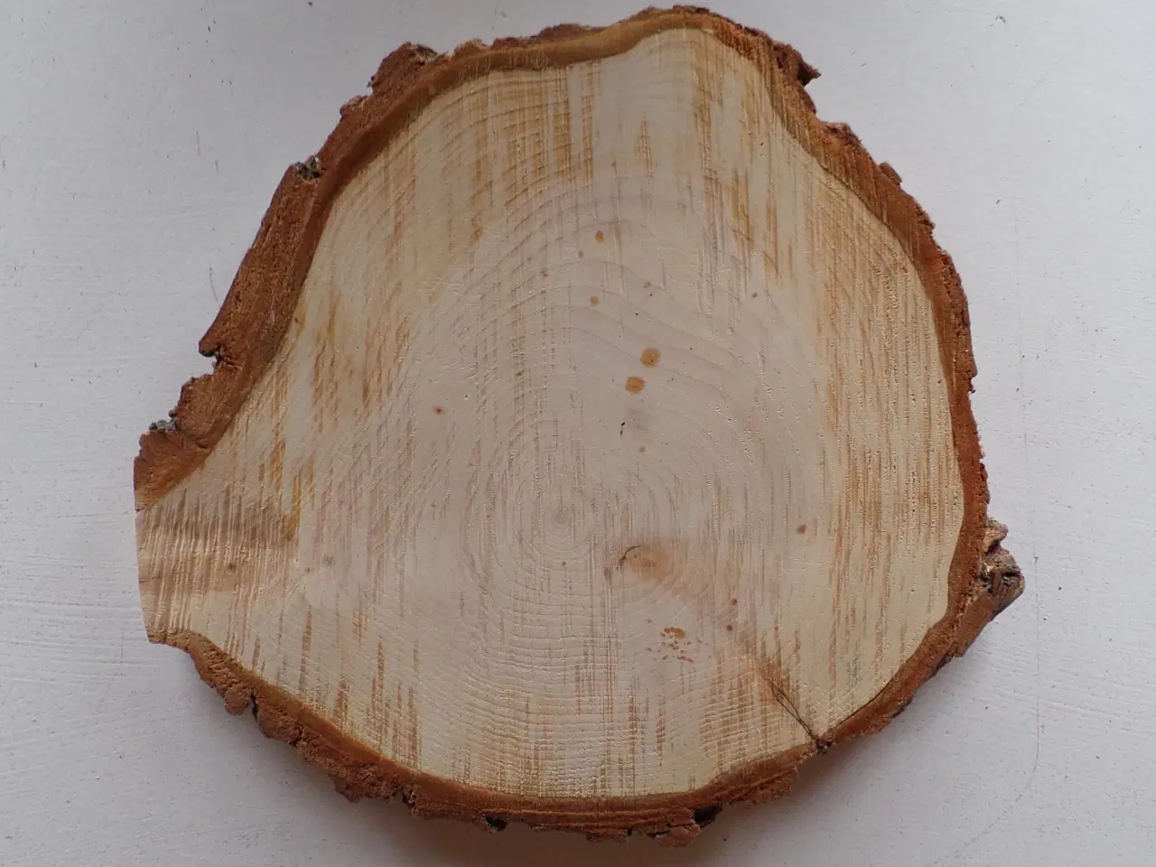 Billede 2 - NY Thuja Træskive med bark 26x24 cm