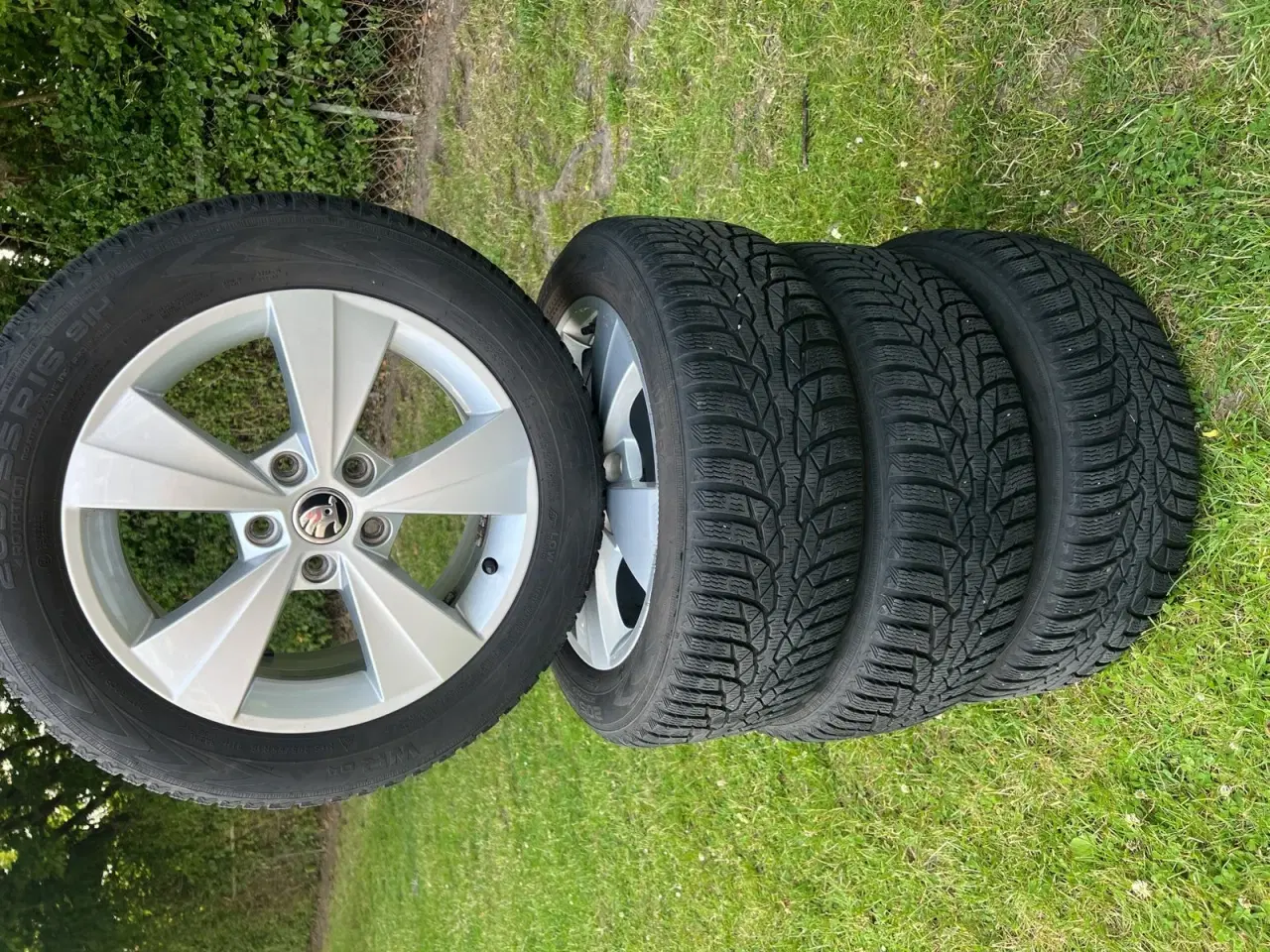 Billede 18 - Skoda Octavia 1,4 TSi 150 Active