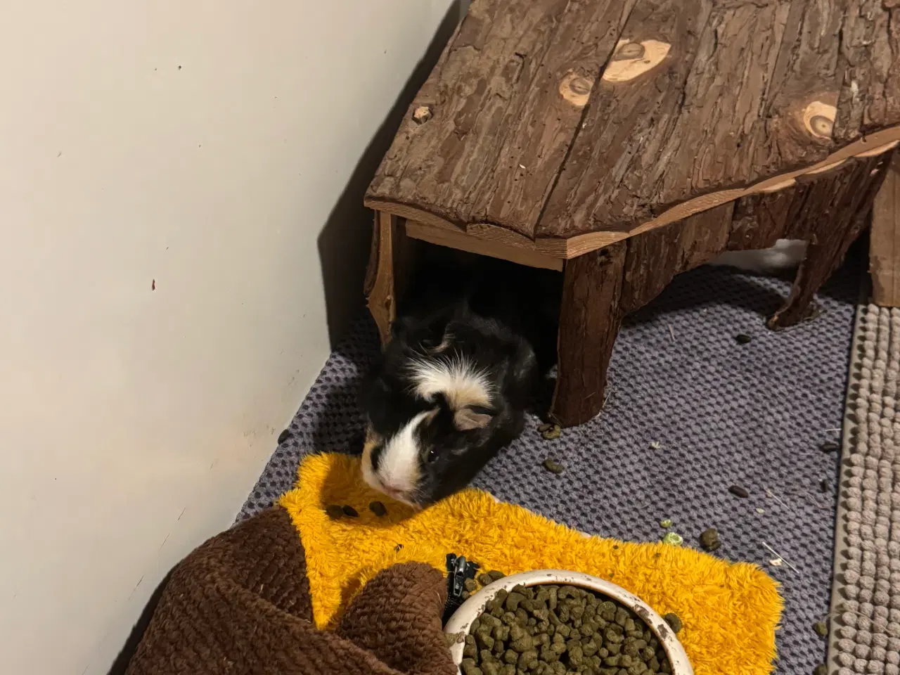 Billede 3 - Lux marsvinebure xl