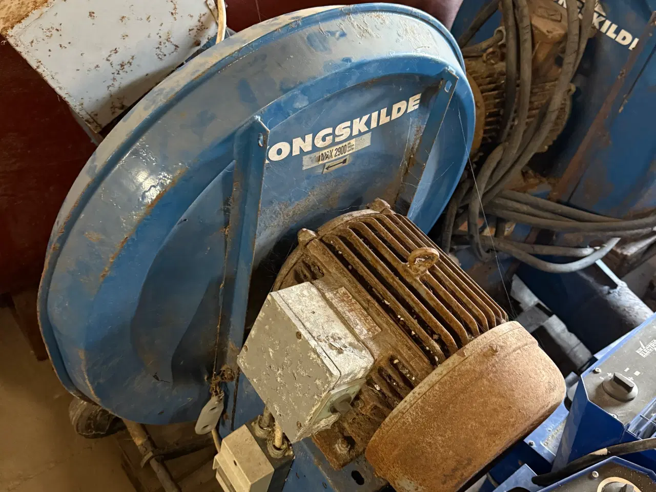 Billede 1 - Kornblæser