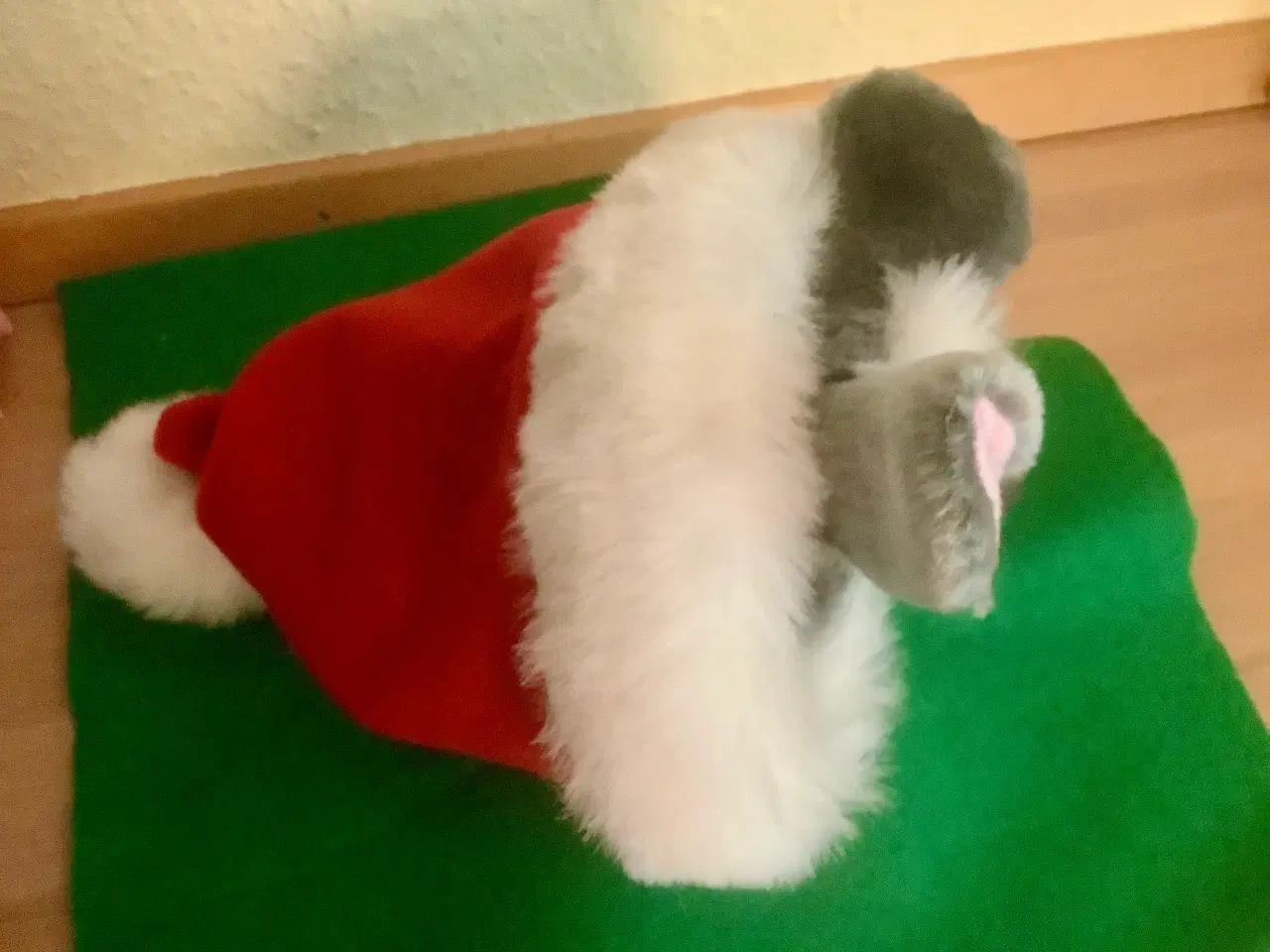 Billede 2 - Julemus i nissehue.