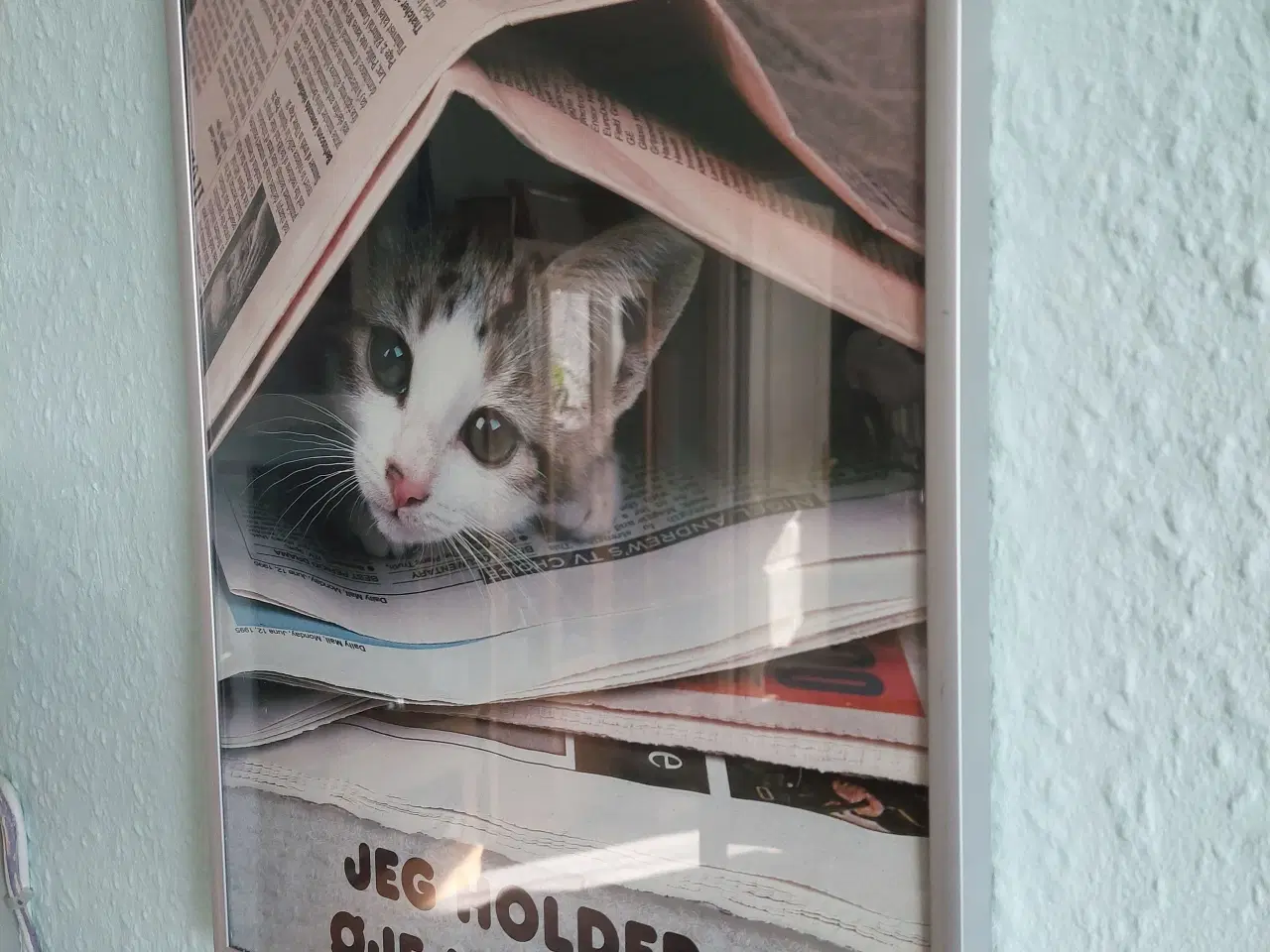 Billede 2 - billeder med glas og alu.ramme