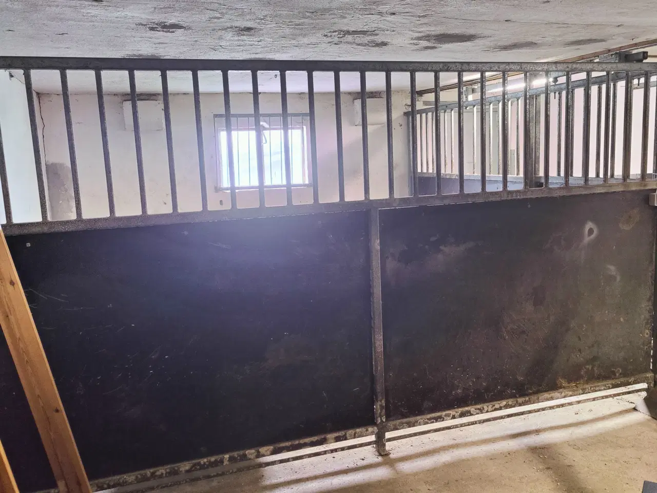 Billede 3 - 2x heste bokse sælges 