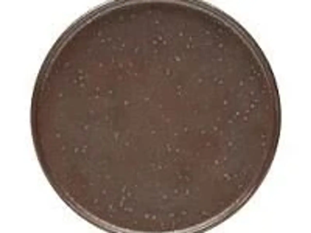 Billede 1 - 24 stk. Tallerken mat grå/brun diam 170 mm stentøj