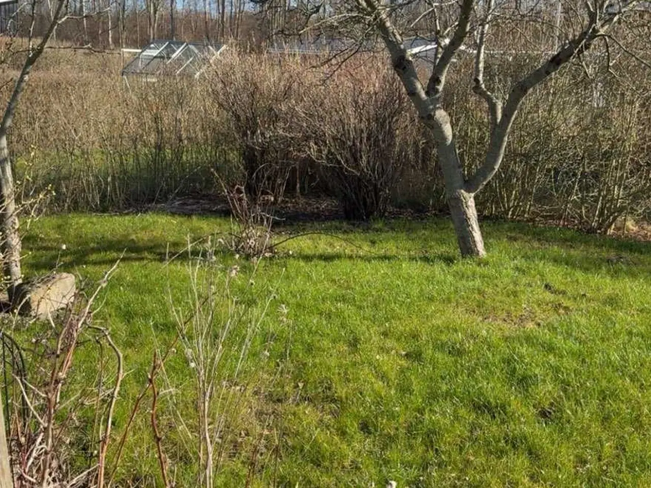 Billede 6 - Kolonihave hus flade enge Frederikshavn 