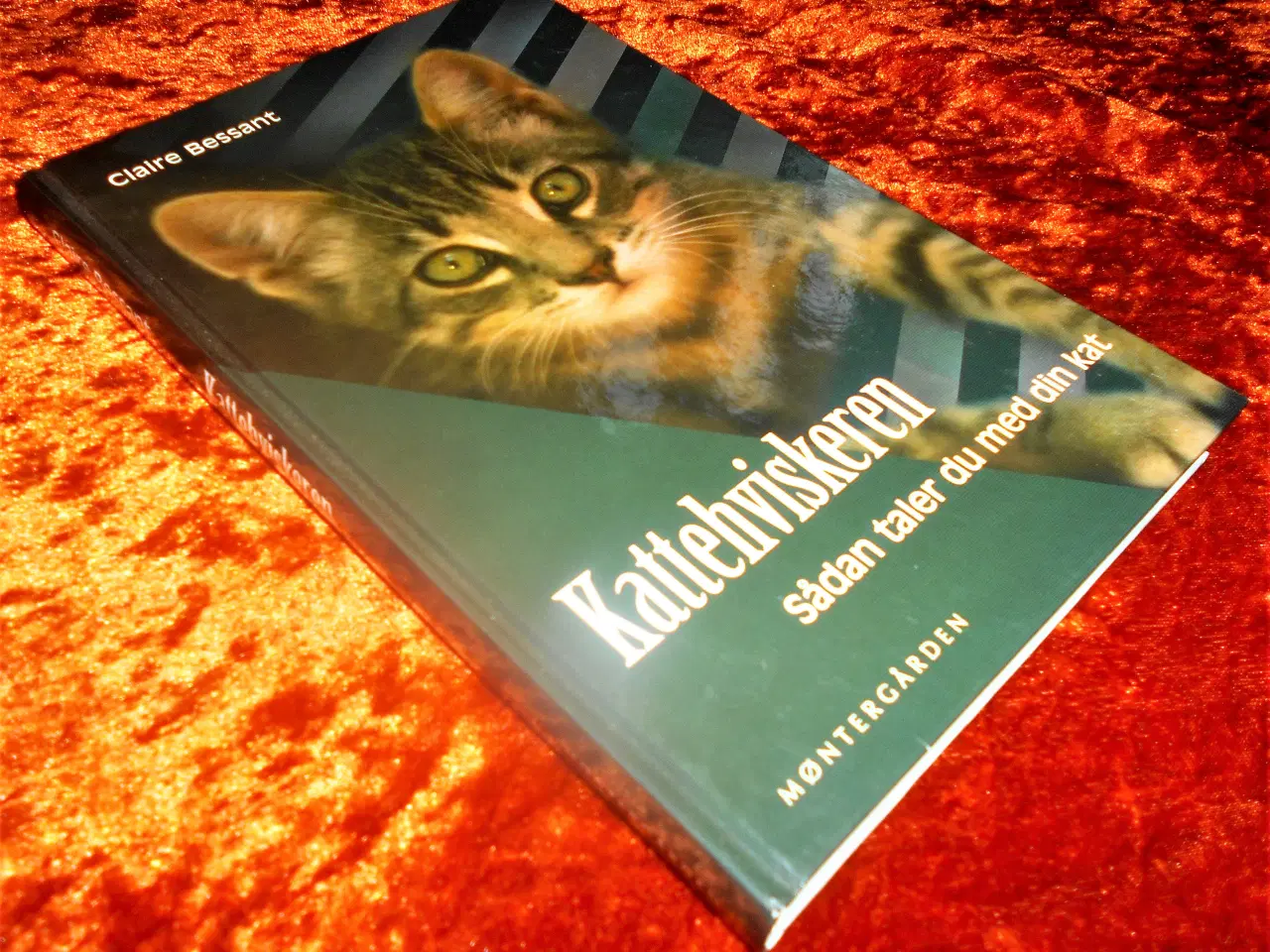 Billede 1 - Kattehviskeren, Claire Bessant