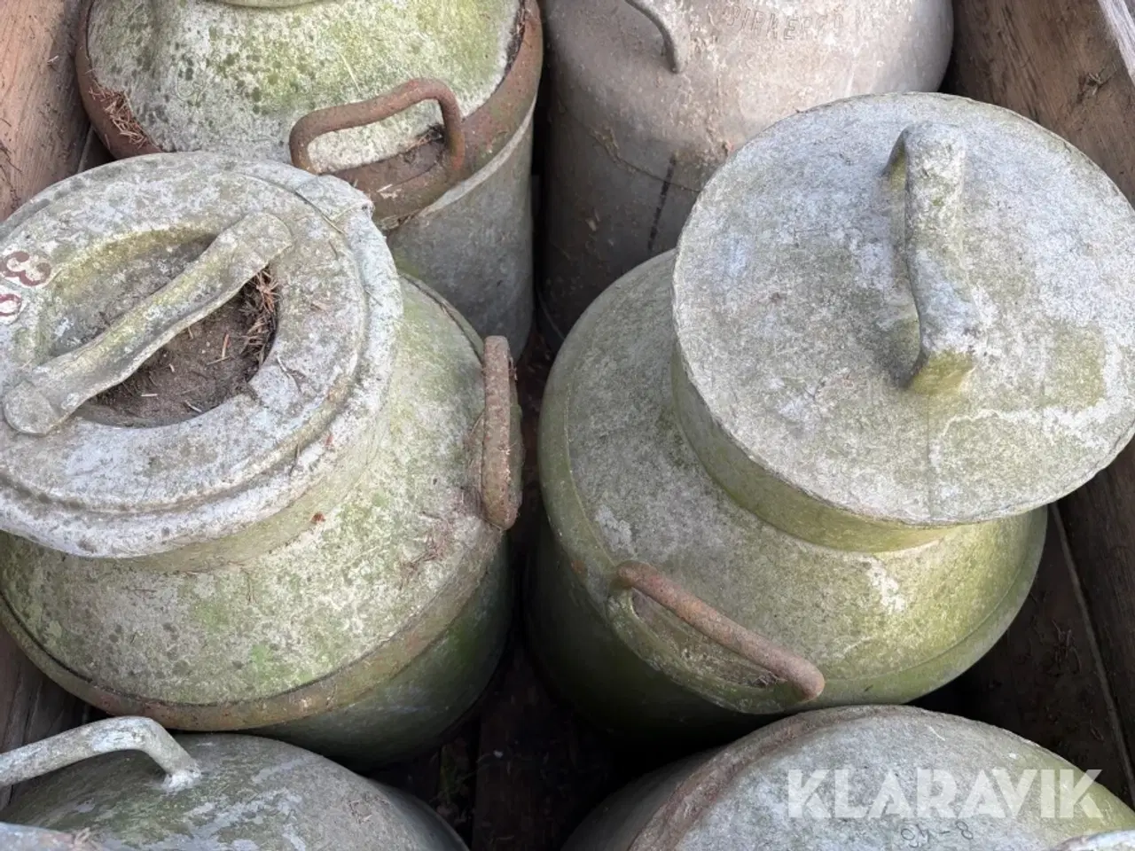 Billede 12 - Mælkejunger 12 styk samlet lot