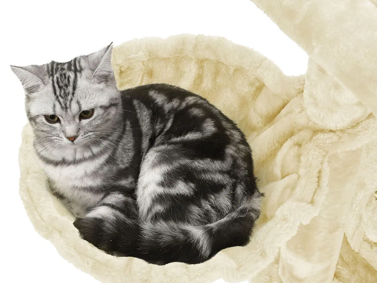 Billede 5 - Kattetræ med ekstra bred liggeplads – beige PCT51M