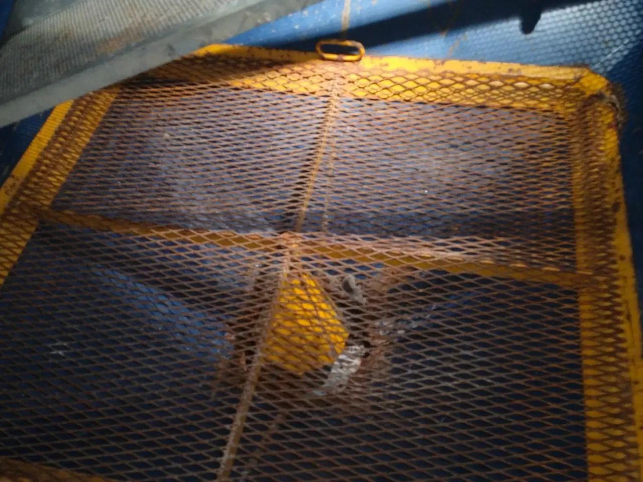 Billede 3 - Bøgballe D1000