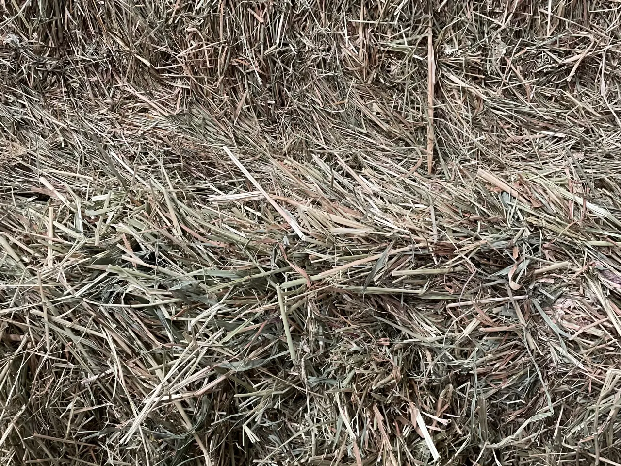 Billede 1 - Enghø sælges