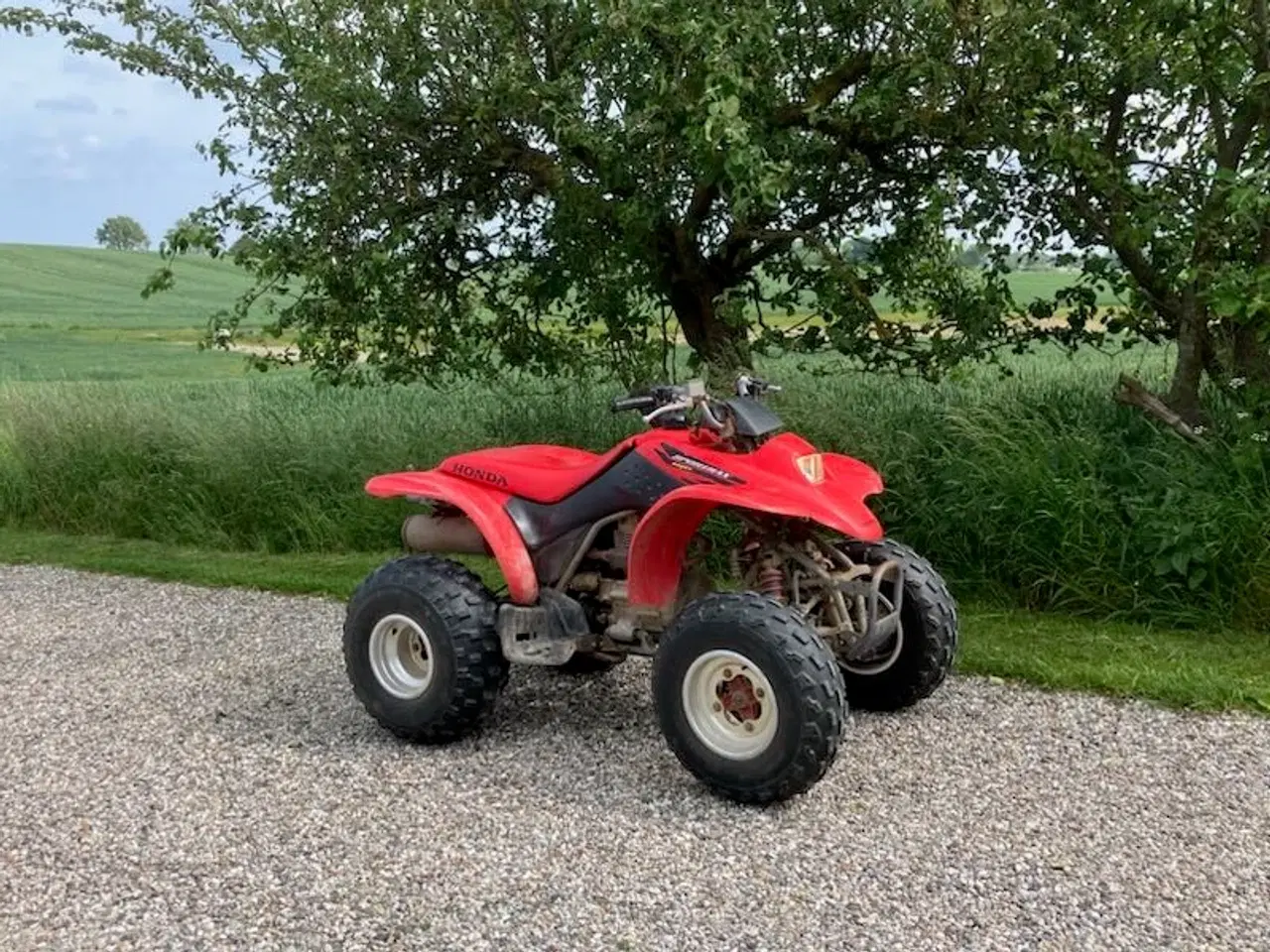 Billede 4 - Honda 250cc ATV