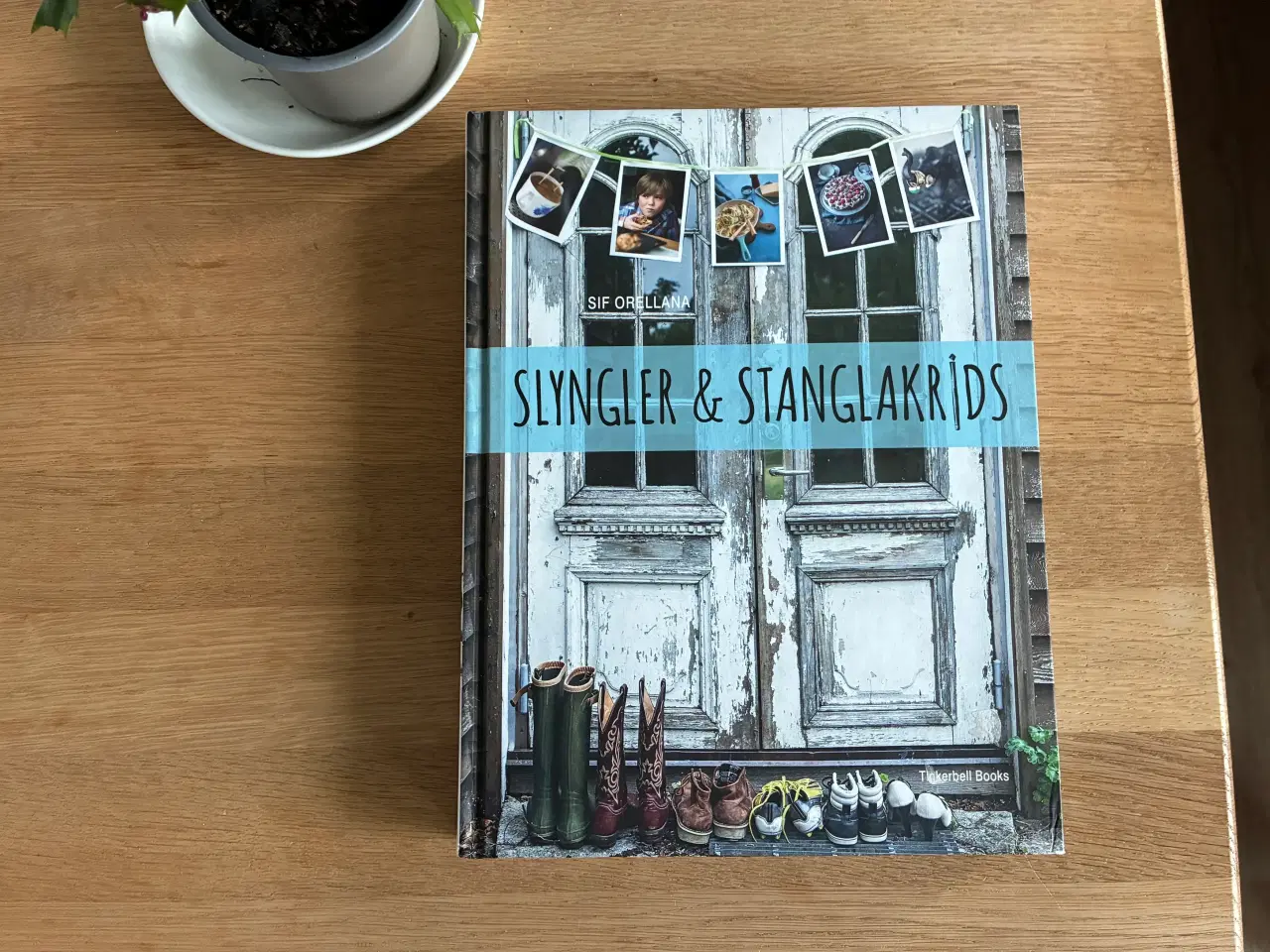 Billede 1 - SLYNGLER & STANGLAKRIDS