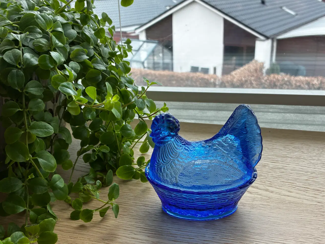 Billede 1 - Høne på skål -  blåt glas.