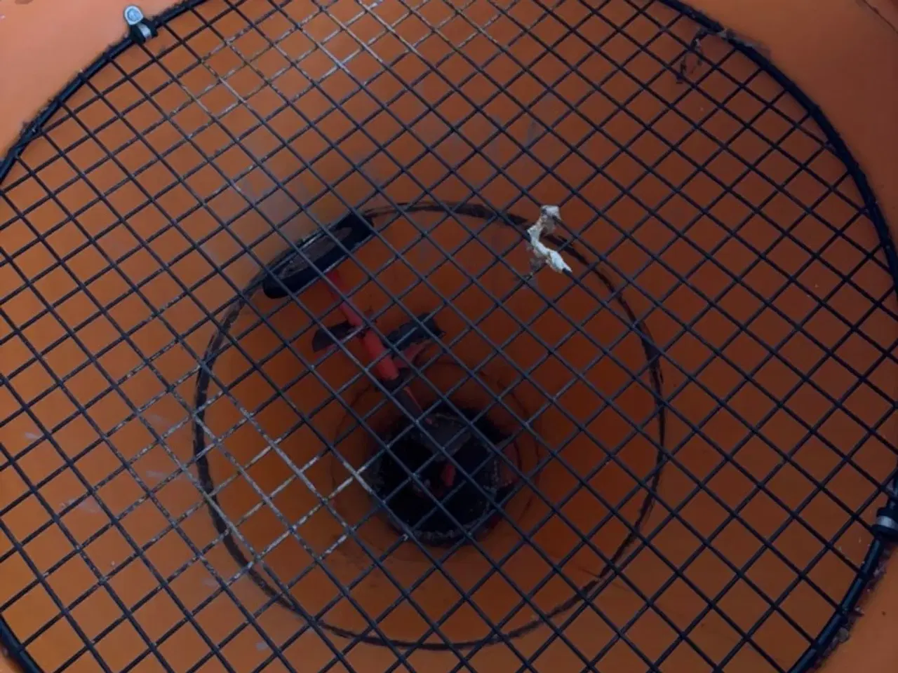 Billede 8 - Rauch SA250 som ny