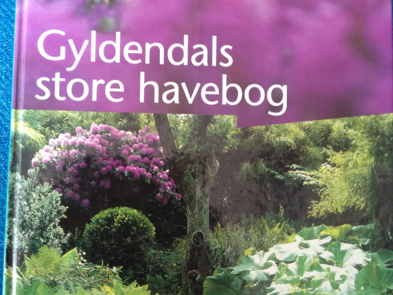 Billede 1 - Gyldendals store Havebog