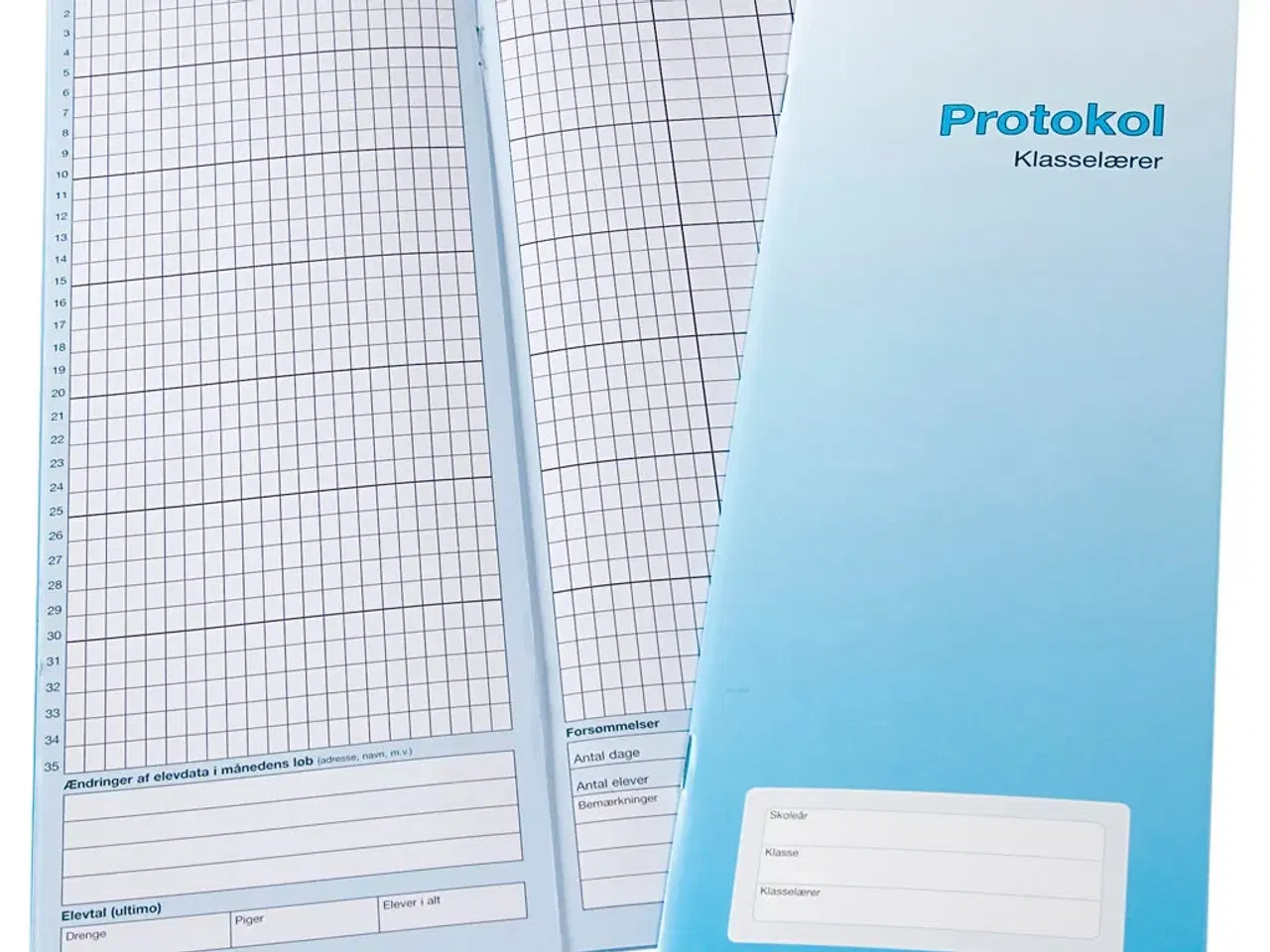 Billede 1 - Mødeprotokol til Klasselærer - 11 måneder