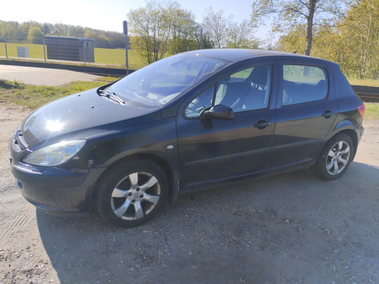 Billede 2 - Peugeot 307 1.6 i fremragende stand – Nyligt servi
