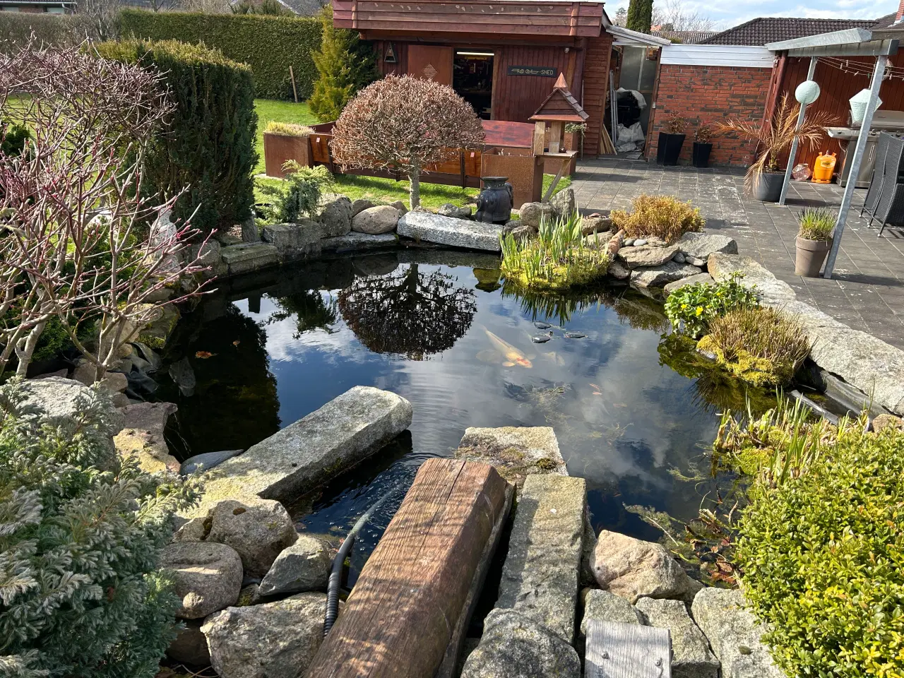 Billede 3 - Havedam sælges 