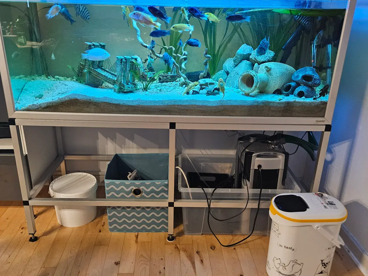 Billede 1 - Akvarie med fisk