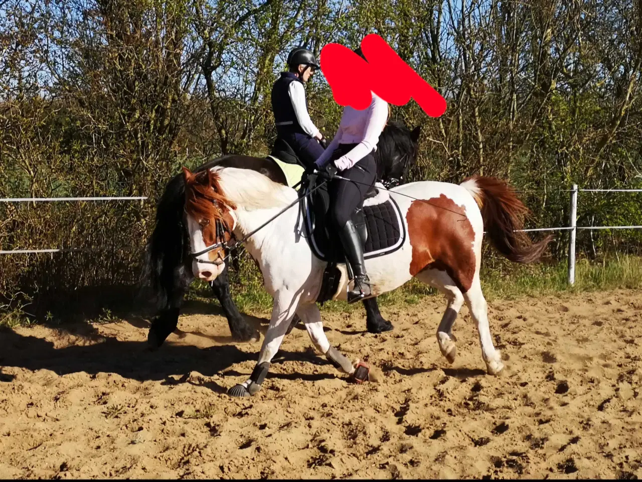 Billede 5 - Pony