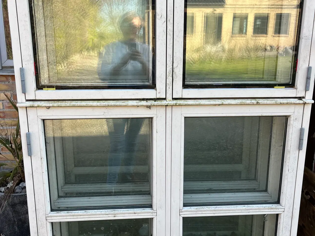Billede 1 - Dannebrogsvinduer træ