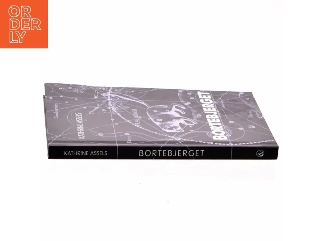 Billede 2 - Bortebjerget af Kathrine Assels (Bog)