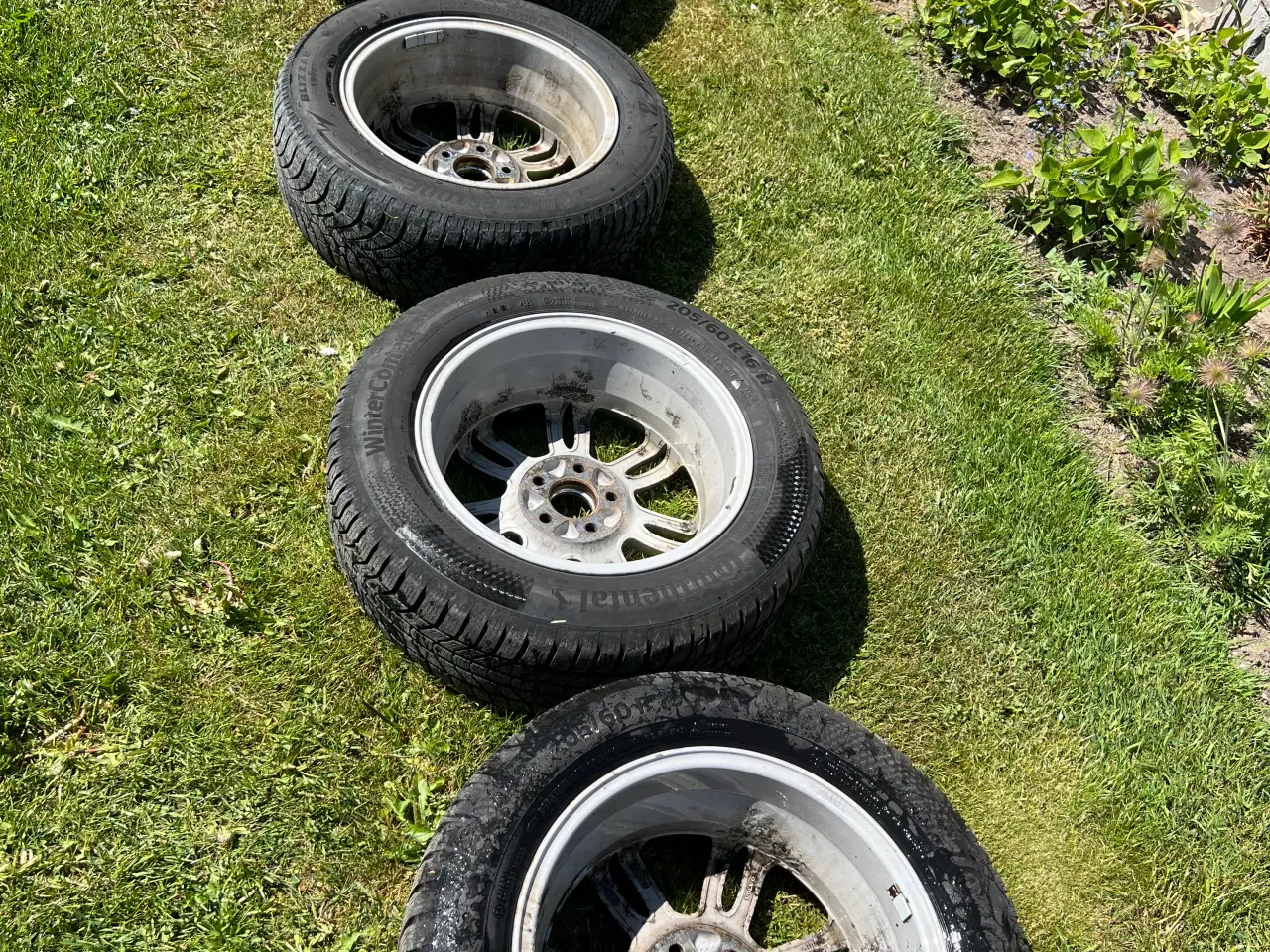 Billede 6 - Volvo Echo 16”