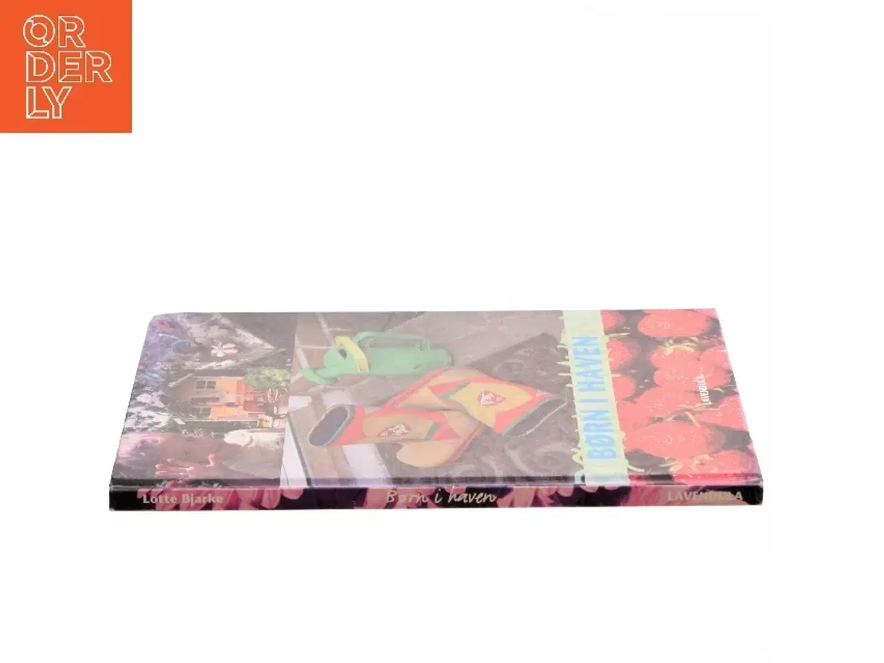 Billede 2 - Børn i haven af Lotte Bjarke, Havens Dag (Bog)