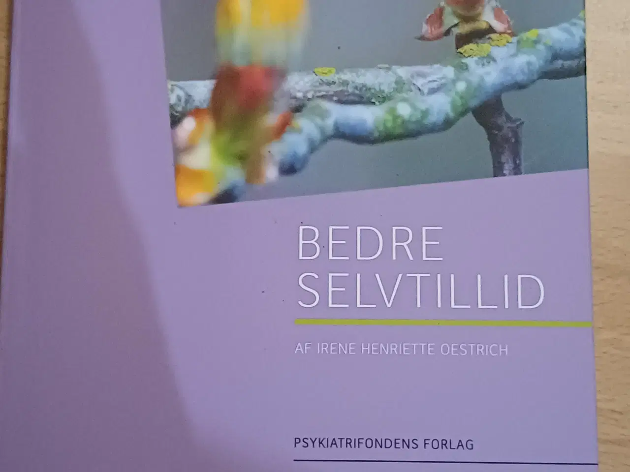 Billede 2 - Bedre selvtillid og 7 gode vaner