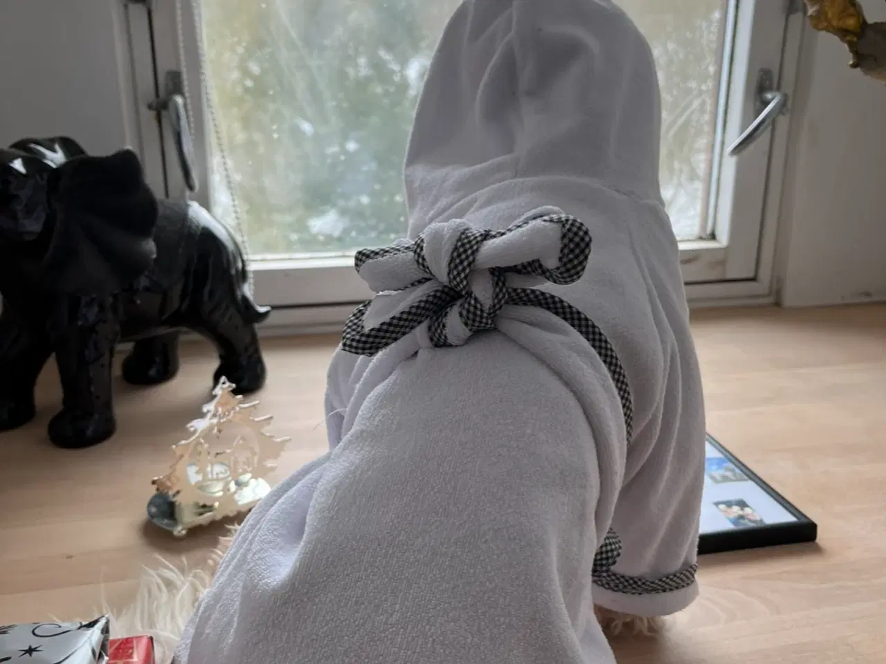 Billede 2 - Hundevadekåbe