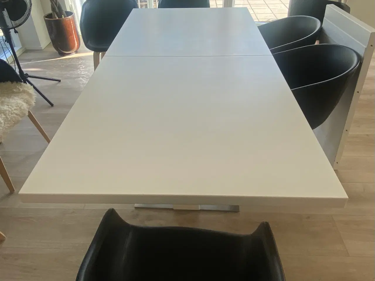 Billede 5 - Spisebord med 8 Stole