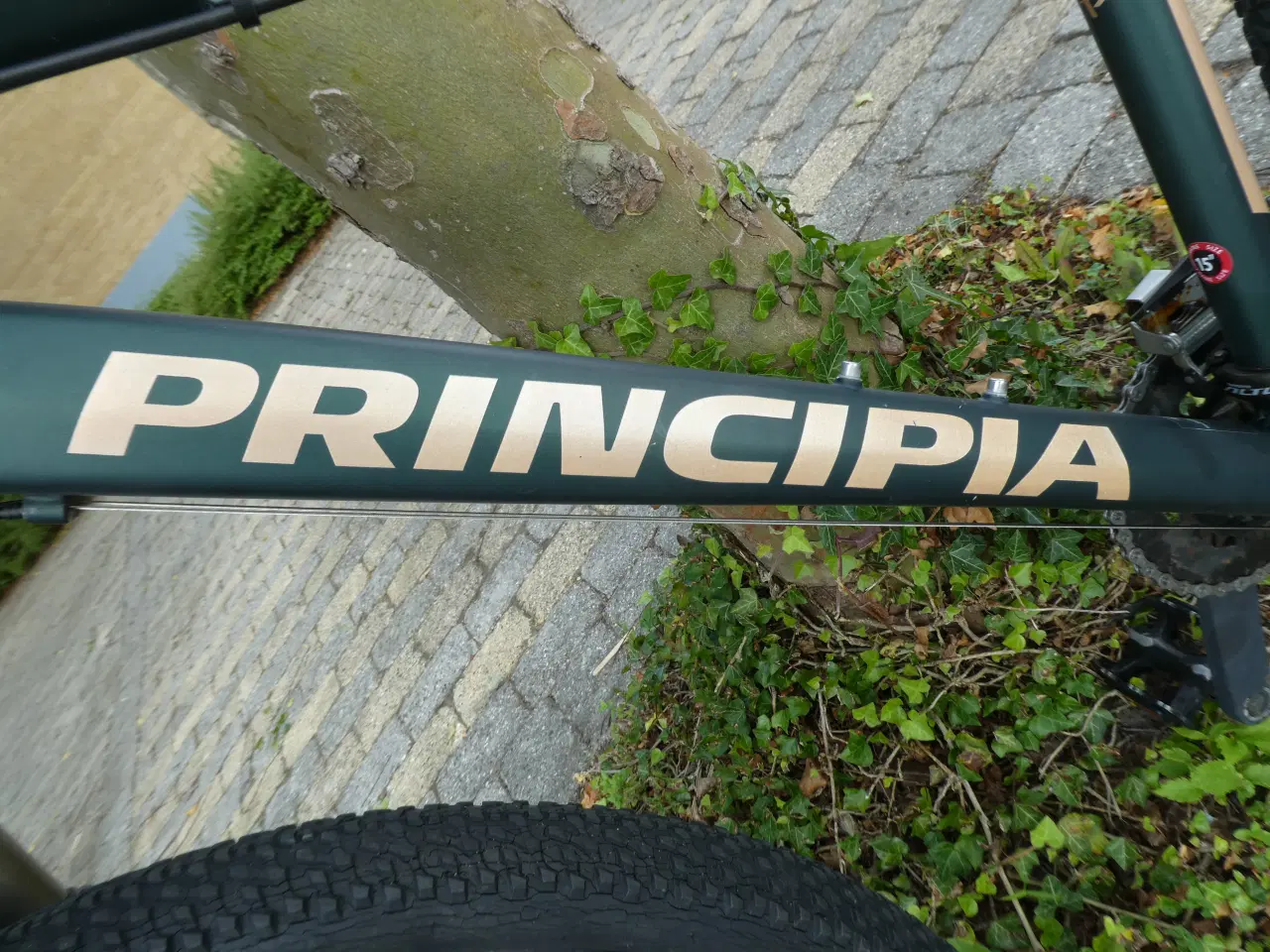 Billede 7 - En god Principia MB