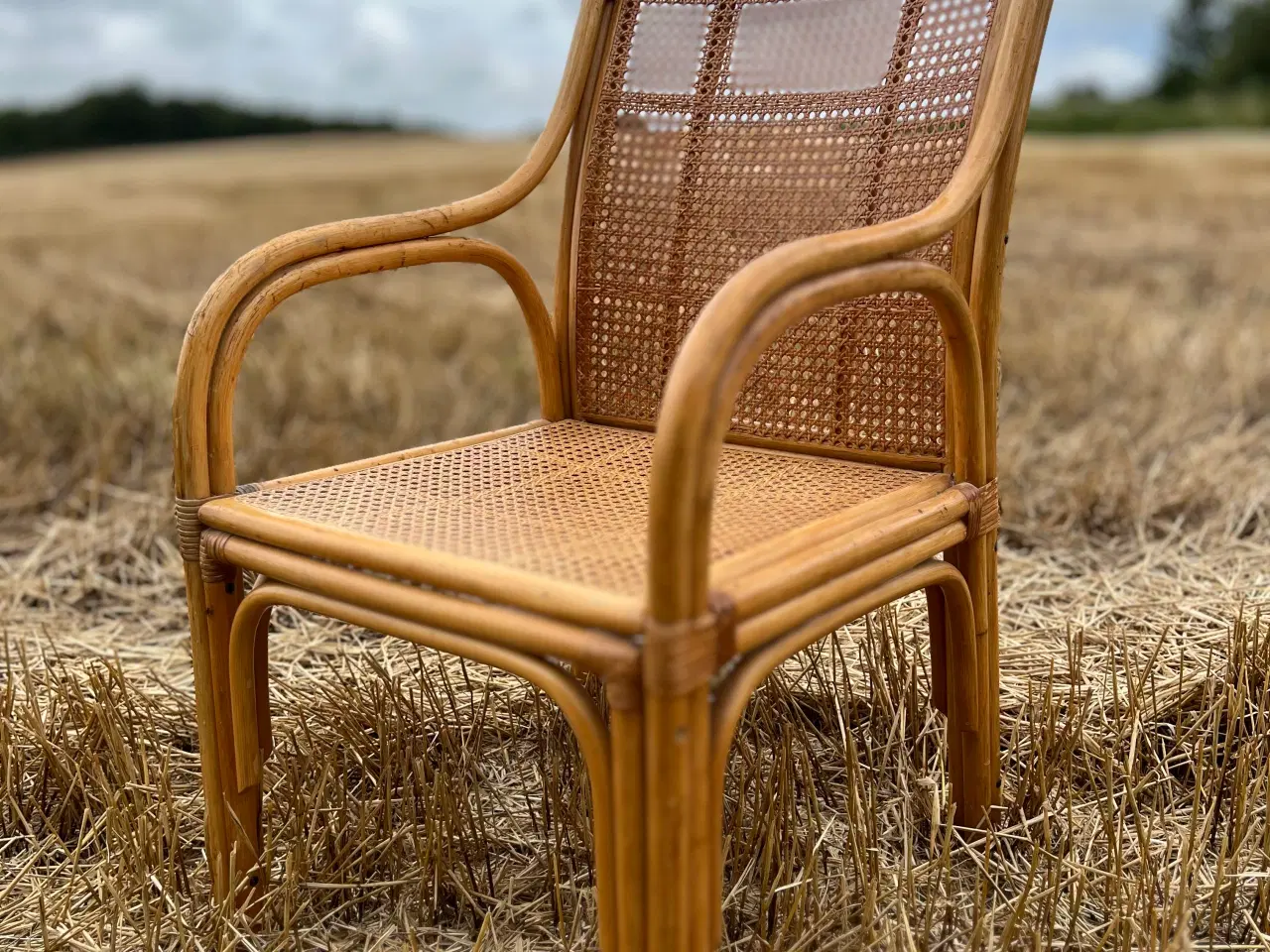 Billede 4 - Elegant bambusstol med fransk flet