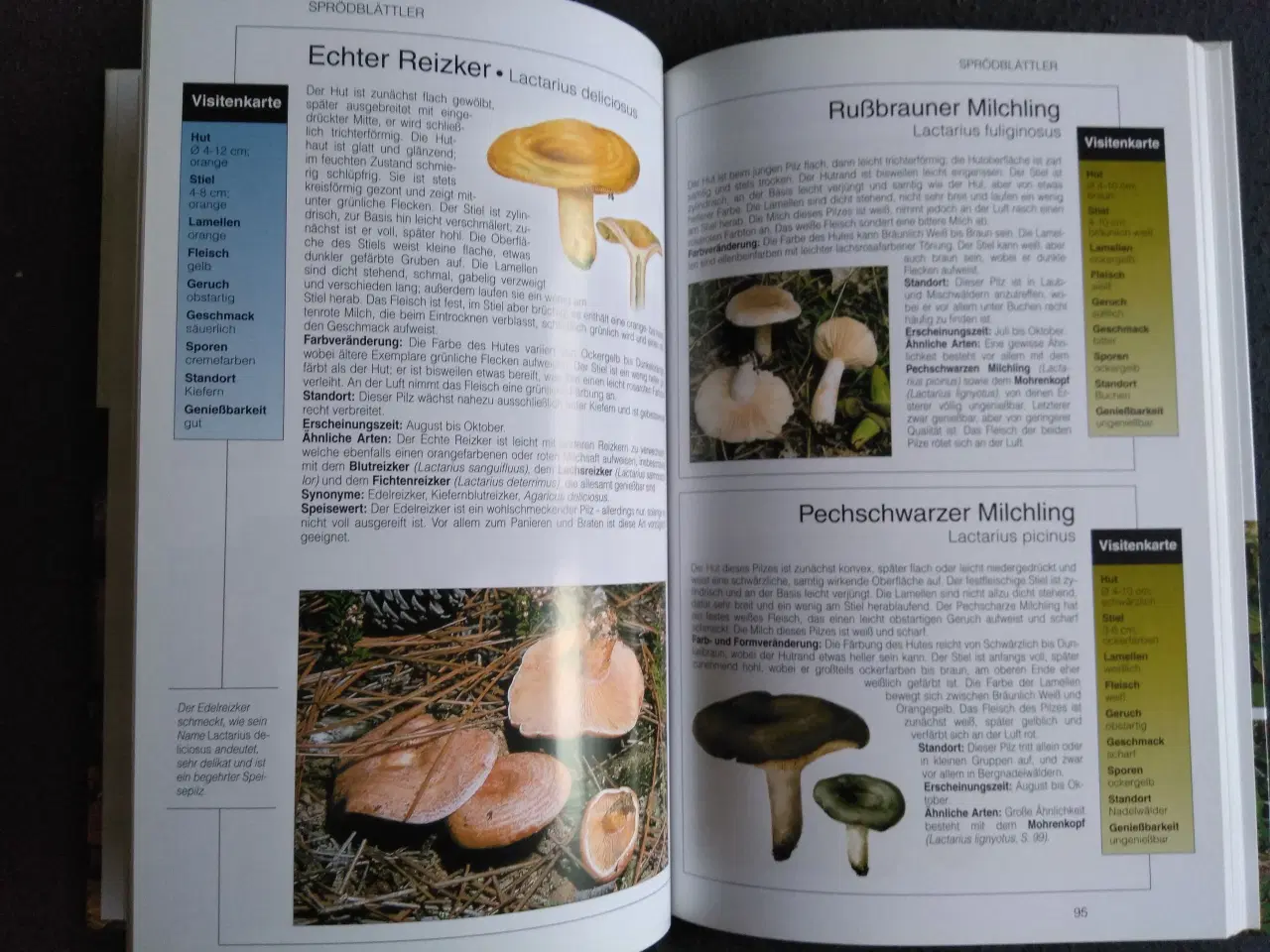 Billede 2 - Bog om svampe