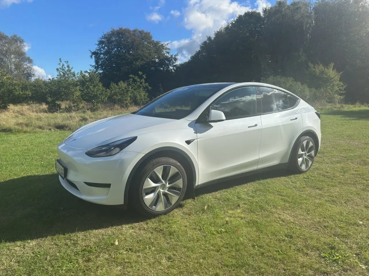Billede 1 - Tesla Model Y  RWD