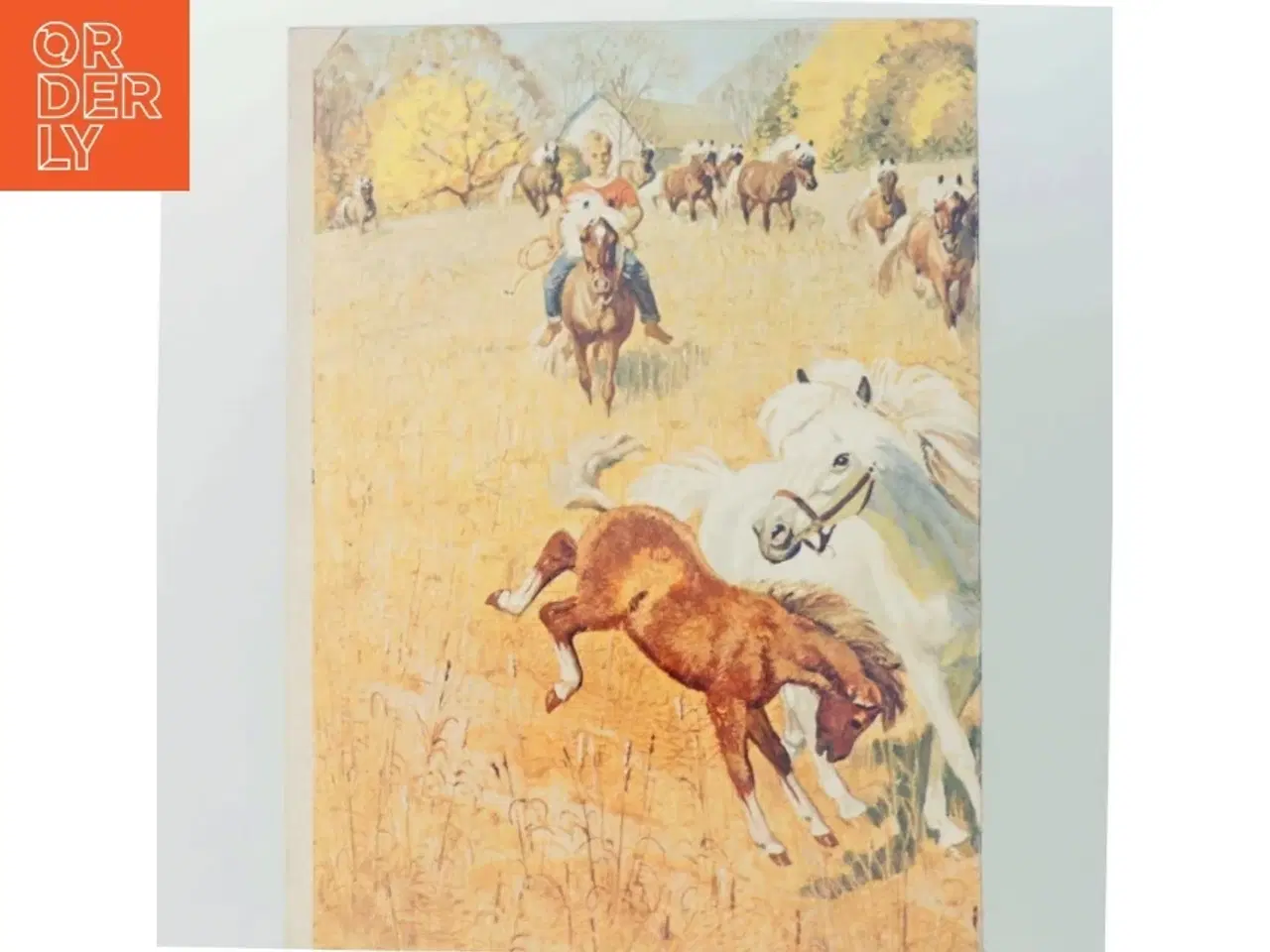 Billede 3 - Vintage magasin og kunsttryk fra Reader&#39;s Digest (str. Standard bogformat)