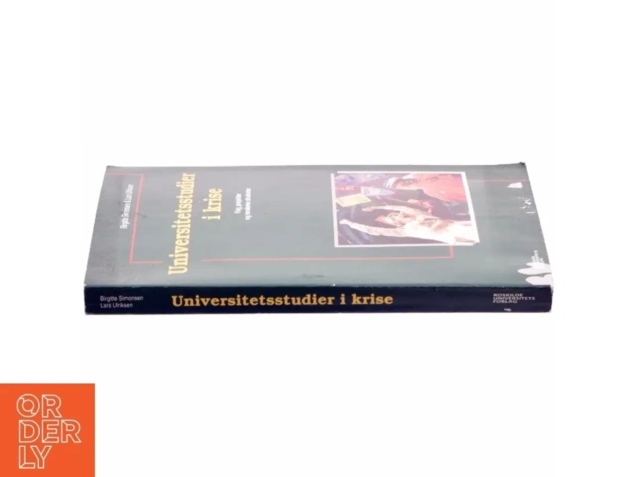 Billede 2 - Universitetsstudier i krise : fag, projekter og moderne studenter (Bog)