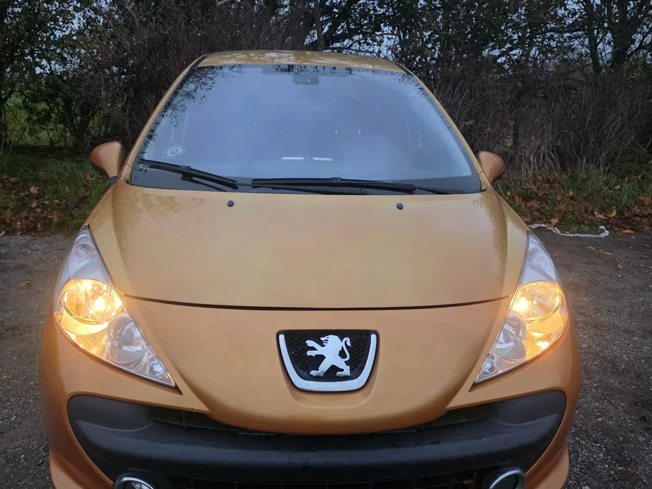 Billede 1 - Peugeot 207 1.6