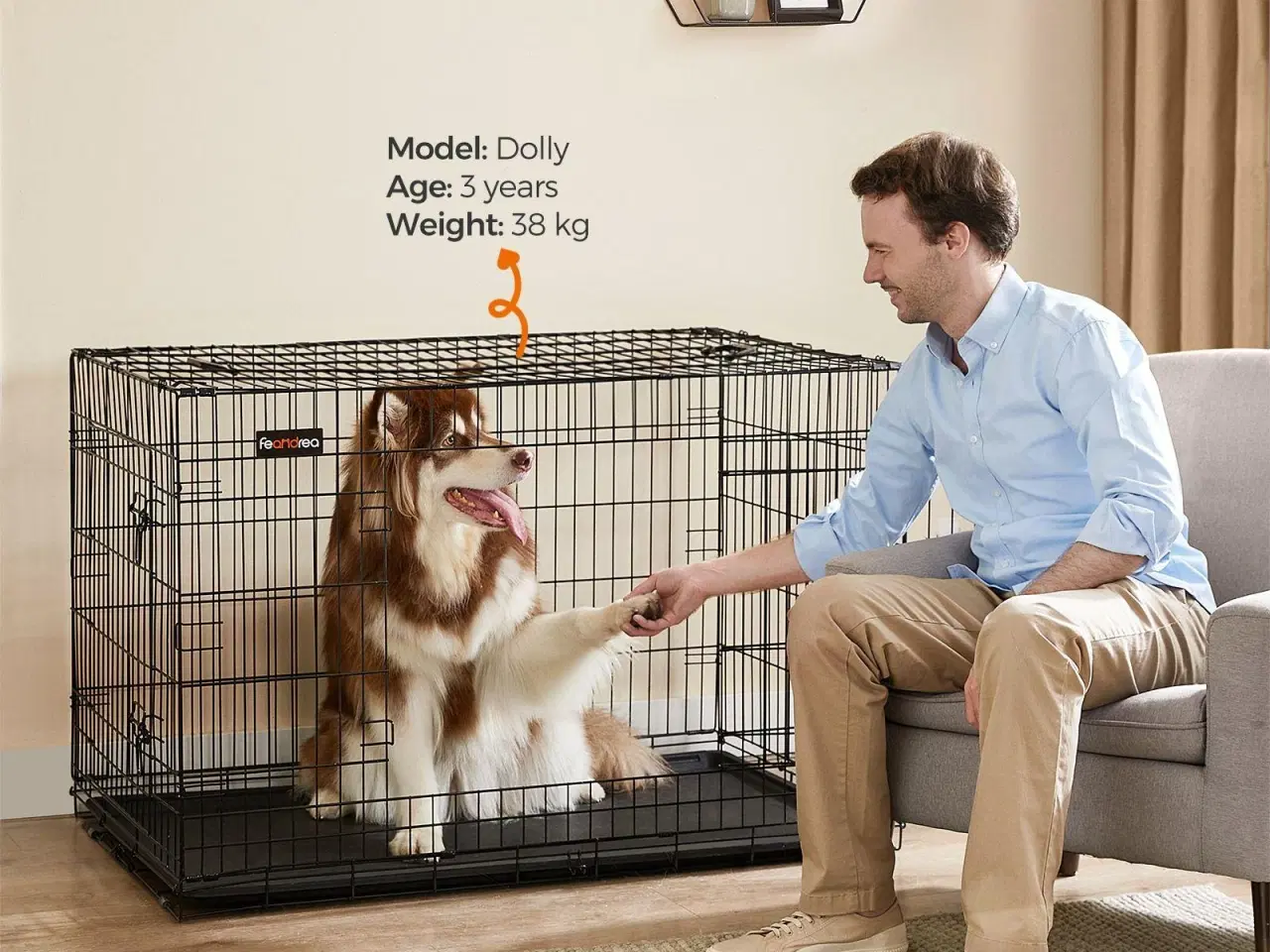 Billede 5 - Hundebur XXL – FEANDREA, sammenklappeligt 122 cm, 2 døre, sort