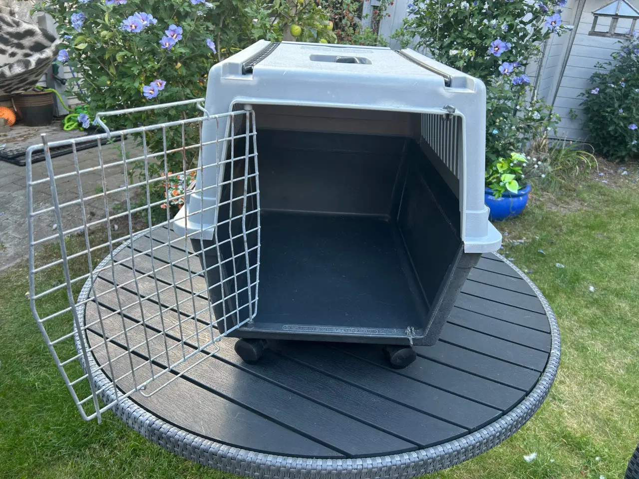 Billede 4 - Transportkasse til Hund / Kat