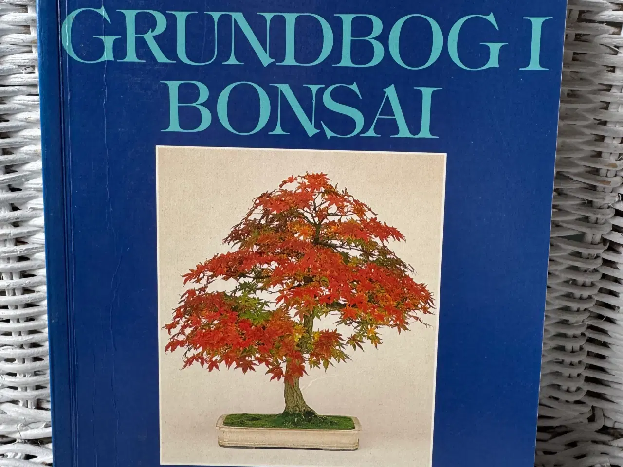 Billede 6 - Japansk have ,bonsai, japansk home