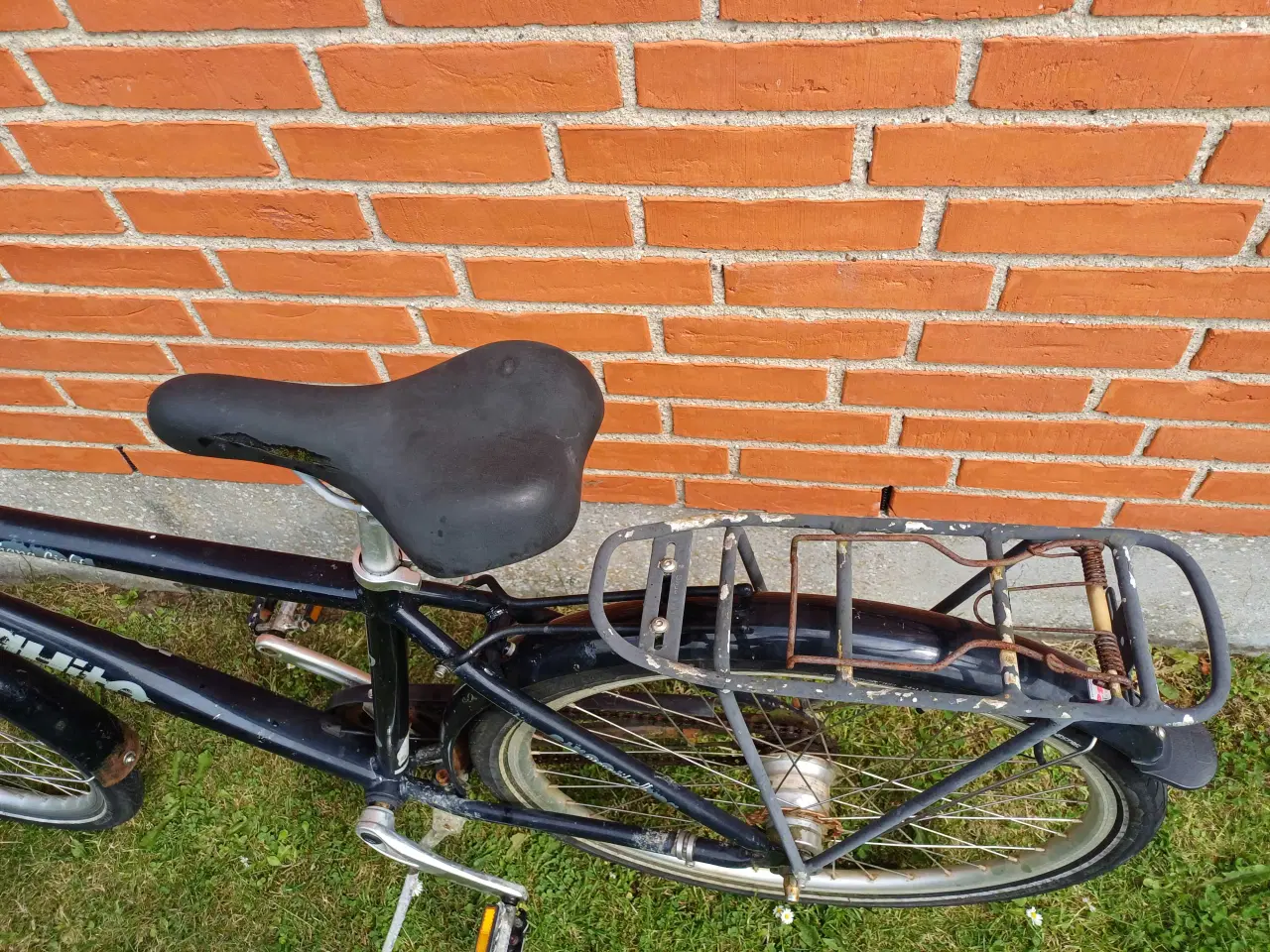 Billede 3 - Mosquito Street 