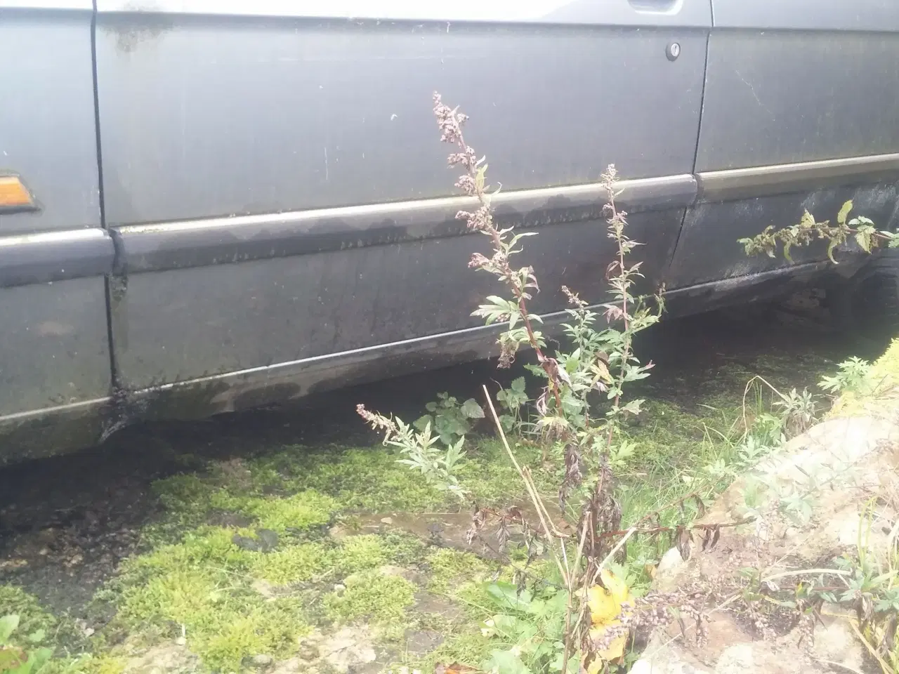 Billede 7 - BMW E28 525e 1987 projekt (uden afgift)